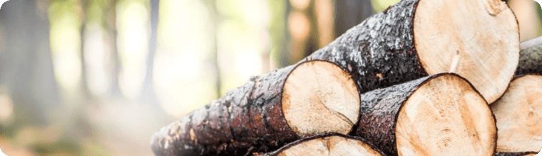 Wood construction material exported by N&T E-commerce for civil construction projects